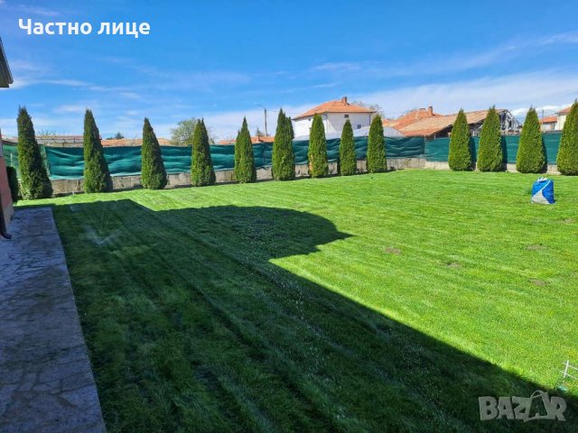 Градинарски услуги, снимка 10 - Градинска техника - 26109139