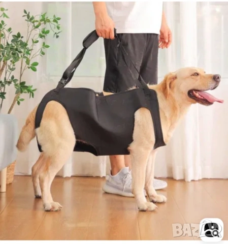 Регулируема поддържка за куче, снимка 7 - За кучета - 53798920