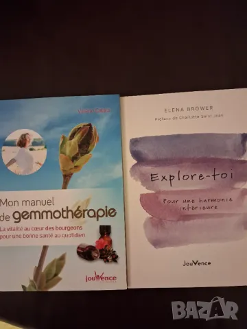 Книги на френски език, снимка 3 - Чуждоезиково обучение, речници - 50393570