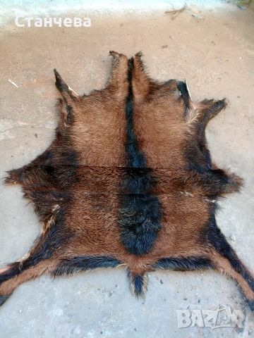 агнешки и кози кожи , снимка 2 - Антикварни и старинни предмети - 53671618