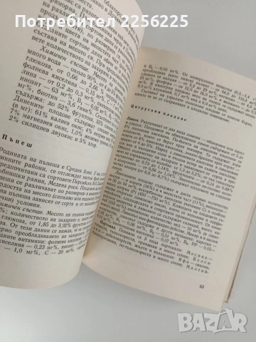 Плодовете и зеленчуците - Храна и лечебно средство, снимка 3 - Специализирана литература - 52748590