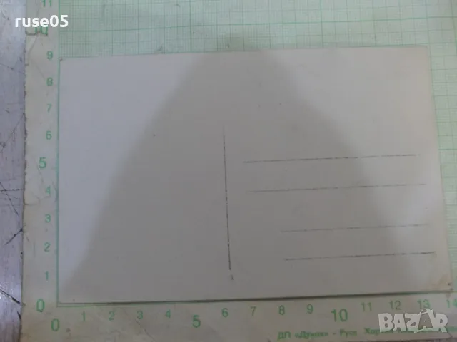 Снимка стара на група младежи върху кола, снимка 2 - Колекции - 47909915