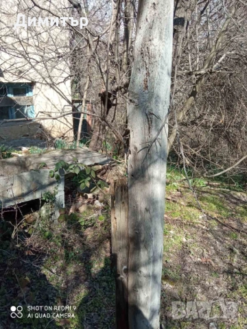 Парцел със стара постройка в с. Оряхово, общ. Любимец, снимка 9 - Парцели - 52052897