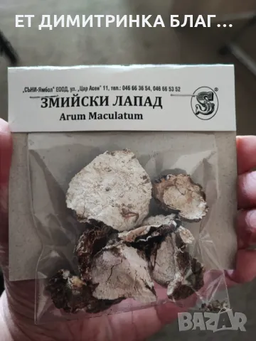 Змийски лапад при Хемороиди, Кашлица, малария, тумори, пясък и камъни в бъбреци, киселини в стомаха, снимка 4 - Други - 49876378