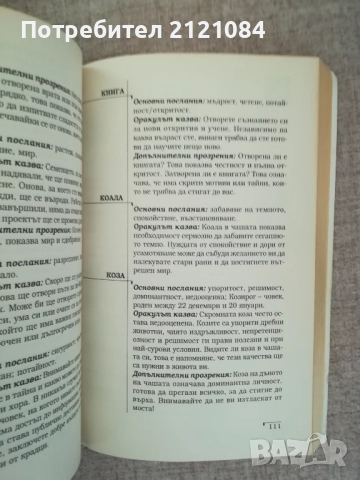 Кафе оракул / Наръчник за гледане на кафе / Стейси Демарко , снимка 6 - Други - 51787866