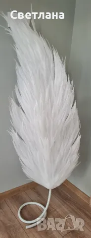 Големи пера за декорация , снимка 2 - Декорация за дома - 48748655