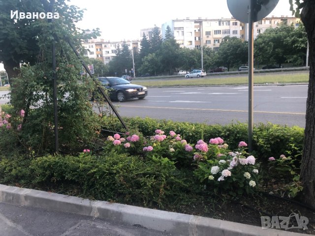 Апартамент Морска Панорама - Гардън, снимка 4 - Квартири, нощувки - 41608056