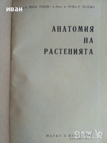 Анатомия на растенията - К.Попов,Р.Попова - 1964г. , снимка 1 - Специализирана литература - 42235322