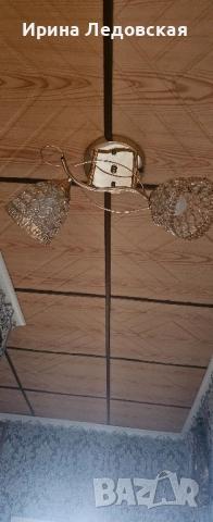 полюлей, снимка 3 - Полилеи - 52288170