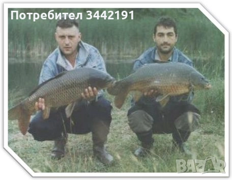 Електровъдица - юбилейна промоция, снимка 5 - Въдици - 51452210