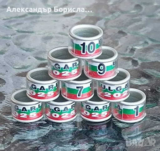 Пожизнени пръстени за 2025 г., снимка 15 - За птици - 48763435