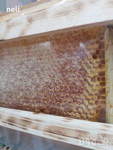 Пчелен Мед в Рамки/Пчелна пита, снимка 7 - Пчелни продукти - 33675855