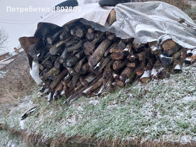 Дърва за  огрев , снимка 2 - Дърва за огрев - 53064472