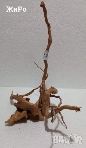 Корен от Азалия /декорация/ 13