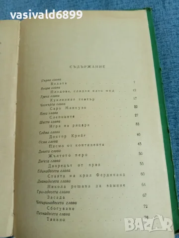 Рене Реджани - Влакът на слънцето , снимка 5 - Детски книжки - 56275062