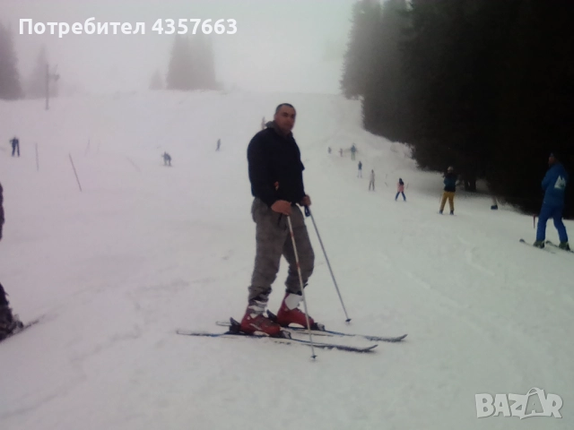 лицензиран лесовъд