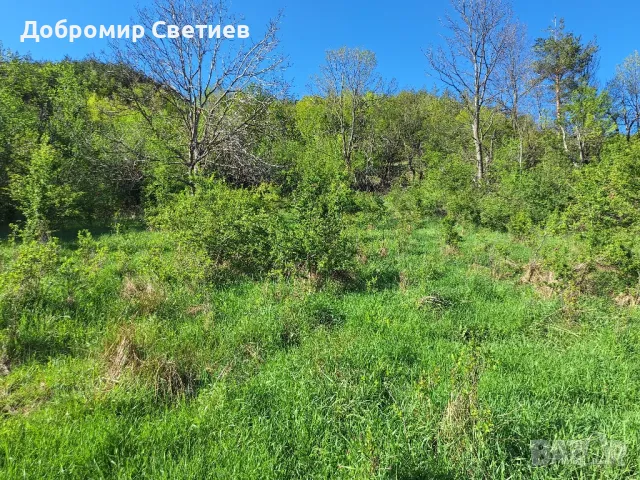 Къща в сърцето на Еленският балкан , снимка 10 - Къщи - 50427402