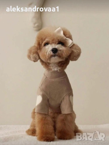 Чисто нови дрешки за малко куче – размери XS/S , снимка 4 - За кучета - 53234730