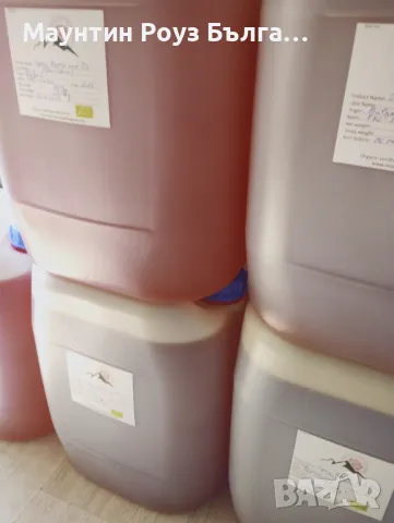 Шипково масло - семе / Rosehip seed Oil - Rosa canina , снимка 3 - Други услуги - 49541123