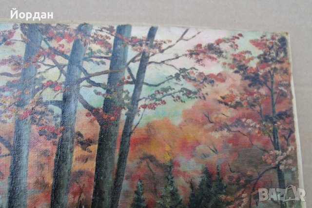 Картина  масло върху платно!, снимка 3 - Картини - 41552121