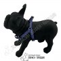 PetInterest Go Get Harness Neoprene Violetta - Нагръдник - XS, S, M, L, снимка 1 - За кучета - 34553500