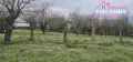 Едноетажна къща с голям двор в с. Елена, обл. Хасково, снимка 5