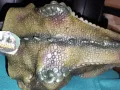 Силиконова маска на Динозавър Тиранозавър Рекс Indominus, снимка 6