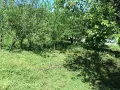Имот в регулация в с.Паволче 600м2 до главен път, снимка 4