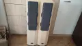 Тонколони TECHNICS SB-CA21, снимка 2