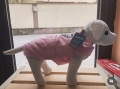 Стилно яке в розово ,,Dog Attitude”, снимка 1
