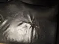 Диван разтегателен, снимка 6