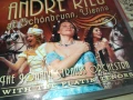 ANDRE RIEU VIENNA DVD 1507251635, снимка 5