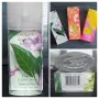 Стар бач / 4 броя / Green tea "Nectarine Blossom", "Exotic", "Mimosa" / Elizabeth Arden 100ml EDT, снимка 6