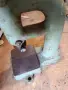 Масивна ръчна преса с многоходов винт, снимка 2