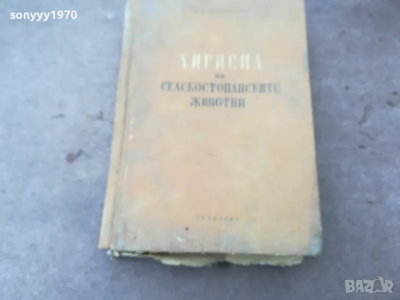 ЖИВОТНИ 1401251831, снимка 1