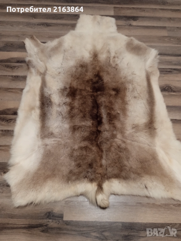 кожа от северен елен, снимка 1