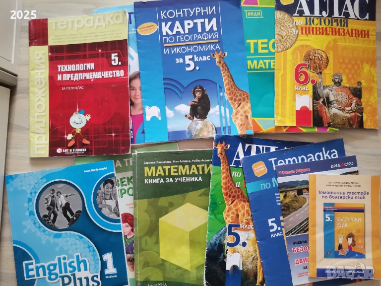 учебник и учебни тетрадки 5клас, снимка 1