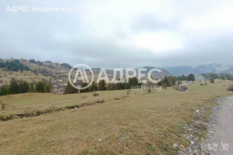 Поземлен имот, снимка 1