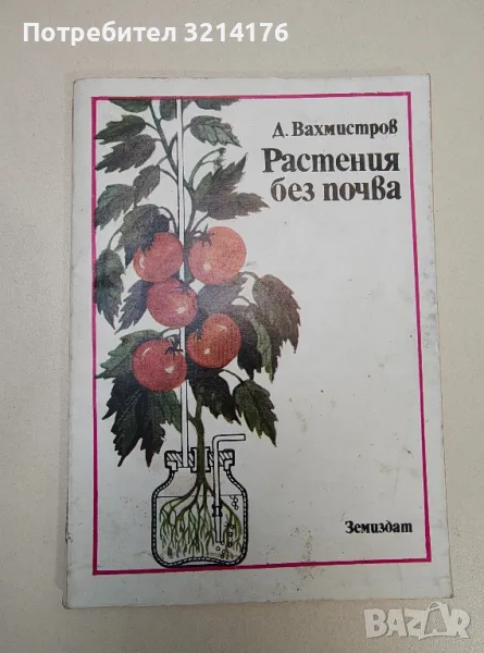 Растения без почва - Дмитрий Вахмистров, снимка 1