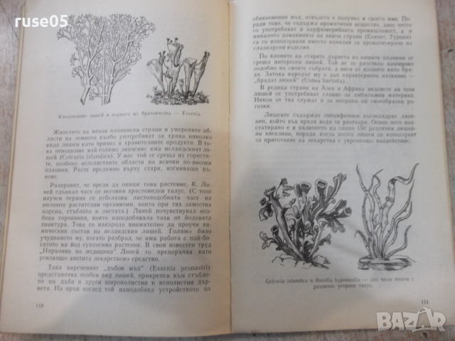 Книга "Красота и куриози в раст.свят-А.Железаров" - 120 стр., снимка 7 - Специализирана литература - 36321699