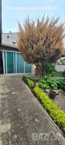 Продава се къща в кв. Аспарухово, снимка 2 - Къщи - 50577439