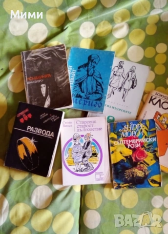 Книги, учебници и учебни помага, речницила