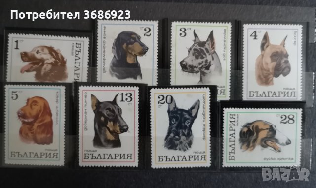 1970 (10 август). Кучета. България., снимка 1 - Филателия - 41691564