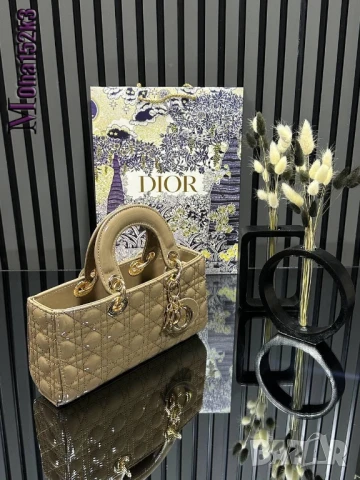 чанти christian dior 25/12см
, снимка 3 - Чанти - 50963329
