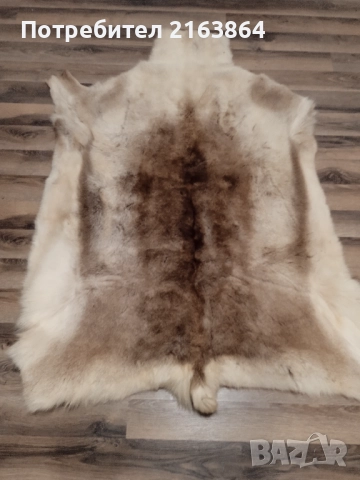 кожа от северен елен