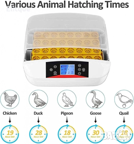 Инкубатор за яйца – 42 яйца с LED дисплей и автоматичен контрол, снимка 3 - Друга електроника - 52716544