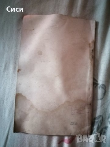 Птици от нашия двор, снимка 2 - Други - 38815109