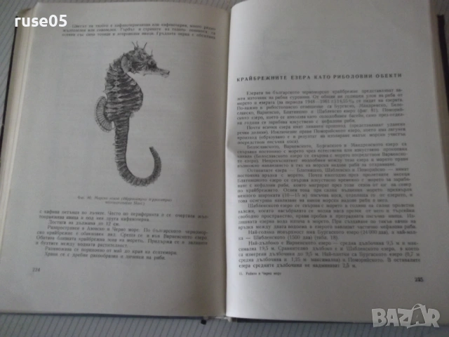 Книга "Рибите в Черно море - Колектив" - 248 стр., снимка 6 - Специализирана литература - 53219873