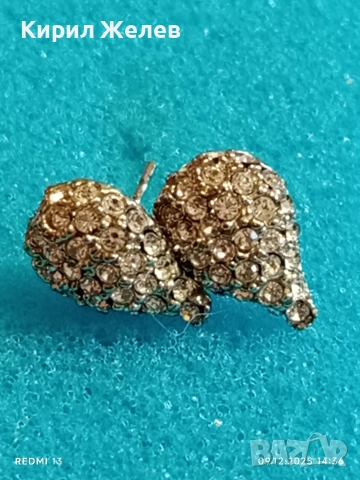 Красиви сребърни обеци с ювелирно инкрустирани брилянти елегантен дизайн 41472, снимка 3 - Обеци - 52707900