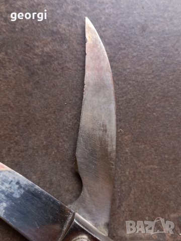 ножица за пиле Solingen , снимка 5 - Аксесоари за кухня - 44146071